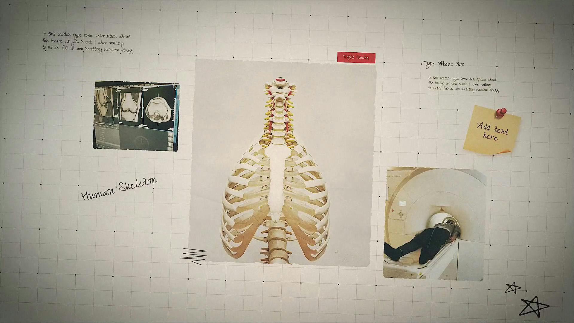 Science Project Presentation video templates | Artlist